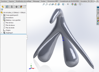 Accompagnement scolaire- Démystifier l'organe reproducteur féminin