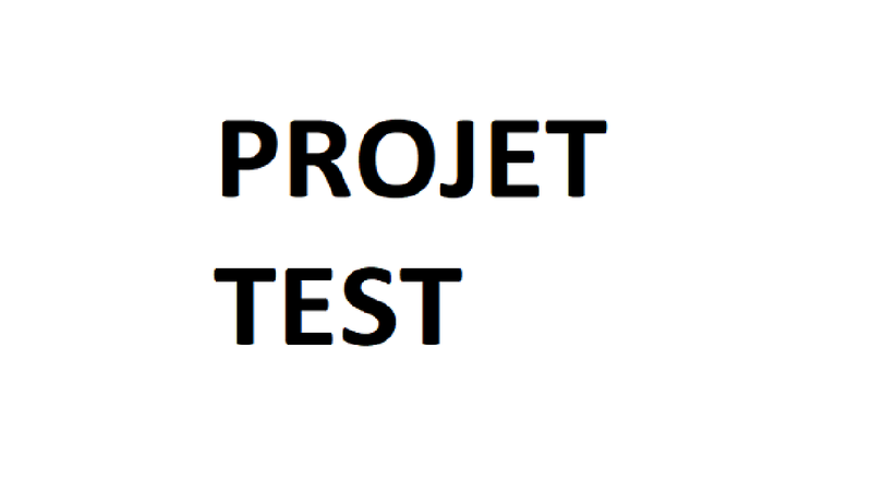 Fichier:Portfolio test 7.png